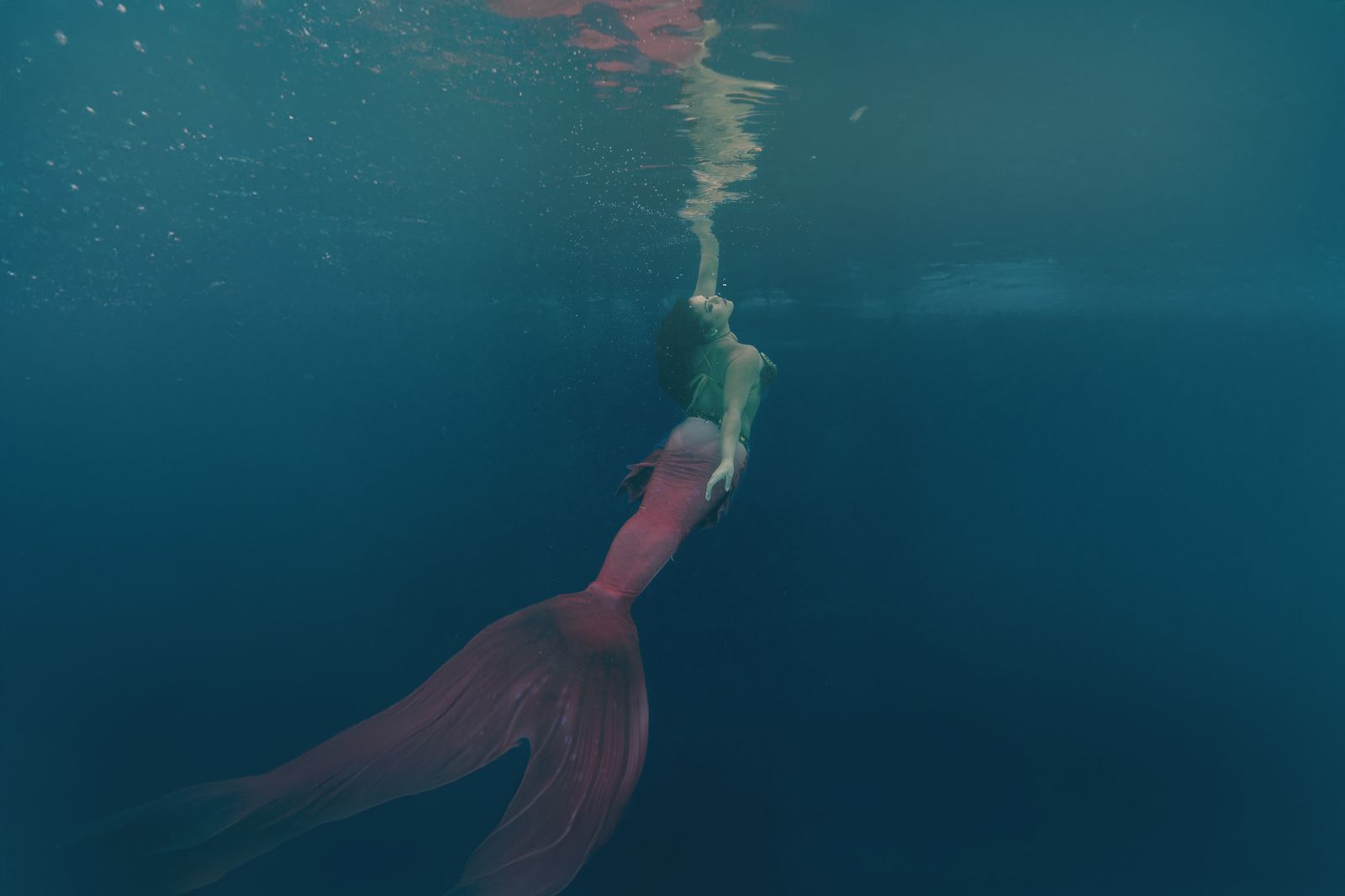 Underwater mermaid portrait showing serene motion and graceful form with a red shimmering tail — captured by White Lavender Photography in Dallas–Fort Worth